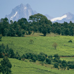 Mt Kenya